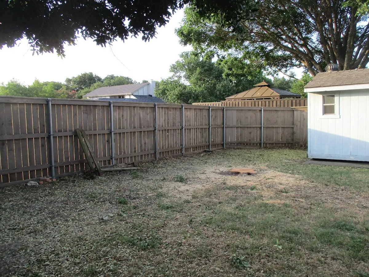 Cleared yard after professional tree removal in Donegal